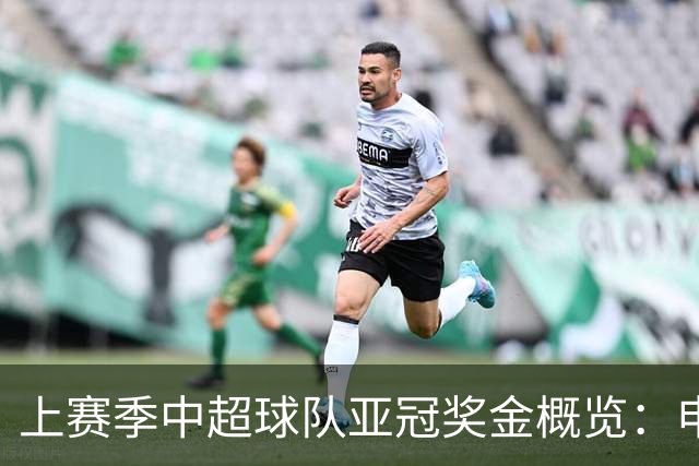 上赛季中超球队亚冠奖金概览：申花领跑，蓉城紧随其后